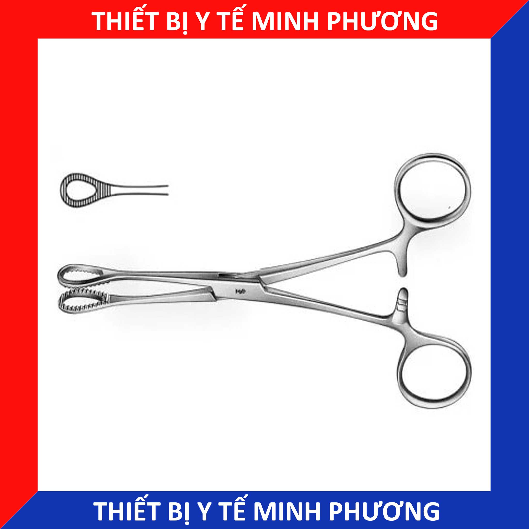 Panh sản khoa, pen hình tim Sponge Holding Forceps công nghệ Đức 18cm